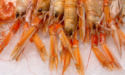 Luximer - Langoustines Grosses Crues - Décongelées - 1 kg