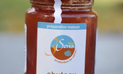 Berry 3 Sens - Chutney De Tomate Au Safran