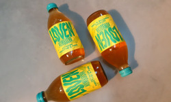 Brasserie L'Indispensable LOVEN Kombucha - Kombucha Citron Menthe & Fire - 10x33cl