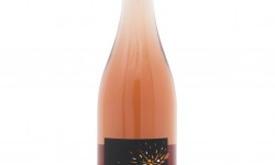 Domaine Bailly Jean-Pierre - Coteaux du Giennois Rosé "Montour"