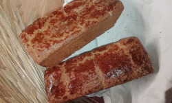 Le Fournil de Retour Aux Sources - Brioche Paysanne 100% "petit épeautre"