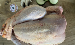 Ferme ALLAIN - Poule à mijoter - 2,2kg