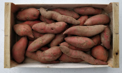 Langevine - Patate Douce BIO 10kg