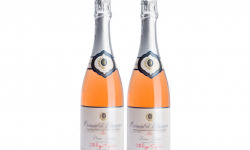 Domaine Tupinier Philippe - 2 Bouteilles De Crémant De Bourgogne Rosé