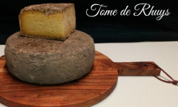 Tome de Rhuys - Ferme Fromagère de Suscinio - Tome De Rhuys Nature - 250g