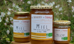 Les Butineuses de Champigny - Miel de Forêt Bio - 1000 g