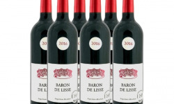 Bonas Lisse Vignoble - Merlot Rouge 2016 - IGP Agenais x6