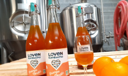 Brasserie L'Indispensable LOVEN Kombucha - SAVEUR EPHEMERE - 3x75cl Orange Nørdic (Orange, chicorée & Cardamome)