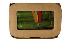 Maison Sales - Végétaux d'Art Culinaire - 18- Mini Courgette - 5 Pièces