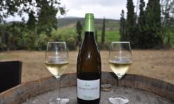 Mas De La Devèze - Côte du Roussillon AOP - Malice Blanc 2019 x6