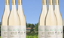 Château Saint Estève d'Uchaux - Viognier Roussanne Blanc sec Tradition 2020 AOP Côtes du Rhône BIO x6