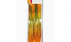 Maison Sales - Végétaux d'Art Culinaire - -9- Courgette Fleur Mâle - 5 Pièces