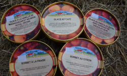 Les Glaces de la Promesse - Colis Grands Classiques: Glace Vanille , Chocolat Extra, Café, Sorbet Citron Et Fraise - 5x 500 Ml