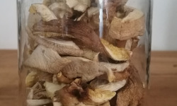 Champignons Bio du Sud Ouest - Shiitaké Déshydraté