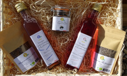 TK Bio - The Kefir et Kombucha Compagnie - Coffret Cadeau Gastronomique : Vinaigre, Ail noir et Sel fumé