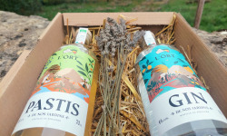 Distillerie de l’Òrt - Gin et Pastis de nos Jardin BIO - 2x70cl