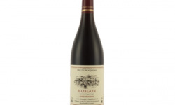 Domaine Christophe et Daniel Rampon - Morgon Aop Cru Du Beaujolais 3x75cl