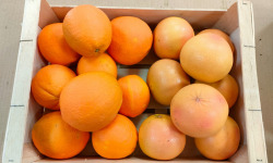 Coopérative Univert - Colis vitaminé : Orange et Pomelos Corses Bio équitable - 3kg