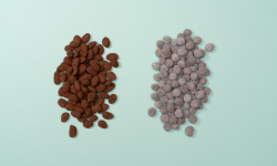 Basile et Téa - Dragées amandes et noisettes 450g