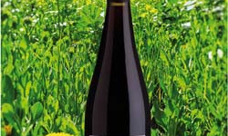 Domaine Rieflé-Landmann - ALSACE CÔTE DE ROUFFACH Pinot Noir 2020