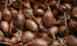 Le Jardin des Gallines - Oignons Jaunes, 1 Kg