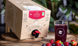 Jus de fruits "Ju" - Recette Fruits Rouges Des Bois - 5 Litres