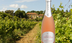 Château Saint Estève d'Uchaux - VIN DE FÊTES : Méthode Traditionnelle IGP Méditerranée Brut Rosé BIO Spécial Privilège de St Estève