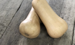 Langevine - Butternut BIO 5kg