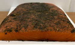 Melsat - Yannick Delpech - Saumon gravlax