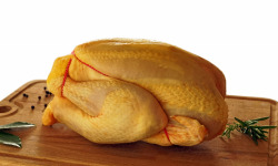 La ferme d'Enjacquet - Poulet Fermier Label Rouge Gers 1,7 kg x5