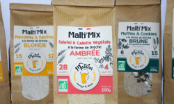 Maltivor - Malti’Mix pour Falafel & Galette Végétale - 200 g