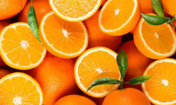 Le jardin de Staging - Oranges Bio