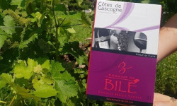 Domaine de Bilé - Fontaine à Vin BIB Rosé - Vin de France - 5 Litres