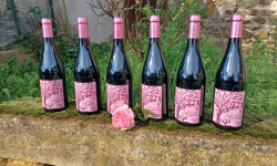 Domaine d'Auménie - Beaujolais Nouveau Primeur 2022 - 6x75cl