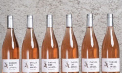 Enclos des Anges - Enclos des Anges Fraticello Rosé 2021 x 6