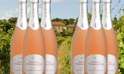 Château Saint Estève d'Uchaux - VIN DE FÊTES   - Brut Rosé BIO Méthode Traditionnelle x6