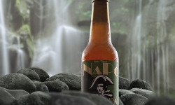 Brasserie NaPo - NaPo Session IPA 6x33cl - Bière Artisanale Corse