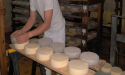 Fromagerie de la Chapelle Saint Jean - Tomme Fraîche