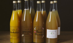 La Ferme des Prun’Elles - lot de 12 jus de fruits