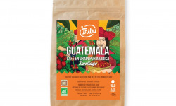 LA TRIBU - Café Santiago Guatemala Grains 400g Équitable & Bio