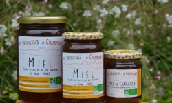 Les Butineuses de Champigny - Miel de Châtaignier Bio - 500 g