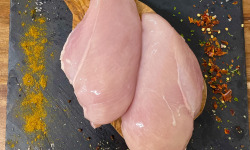 Boucherie Lefeuvre - Filet de poulet x8