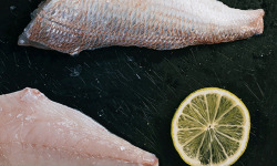 Côté Fish - Mon poisson direct pêcheurs - Filets De Pageot 300g