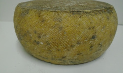 La Ferme de l'Abbaye - Fromage d'Abbaye  : Tomme de Vache la Tommette du Berry