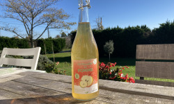 EARL Fruits du Maumont - Toutifruits - Pétillant Pomme - 75cl