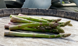 La Boite à Herbes - Botte D'asperge Verte De Provence calibre 16/22- 1kg