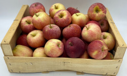 Le Panier du Producteur - Pommes "Gala"