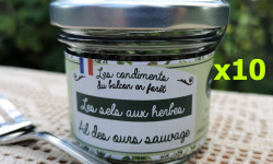 Le Balcon en Forêt - Sel à l'ail des ours -60g- lot de 10