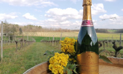 Domaine de la Tuilerie - Cuvée Réserve - Méthode Traditionnelle