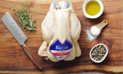 La Grange Renaud - Poulet de Bresse AOP 1,7 kg